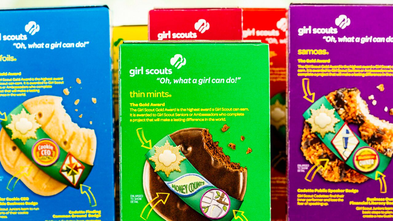 Adorable Girl Scout cookie sales are spread out in front of the doorbell camera
